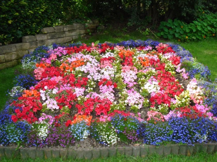 Alf's Flower Bed